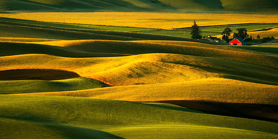 Palouse Hills in northern Idaho with rolling farmland and wave-like landscape patterns