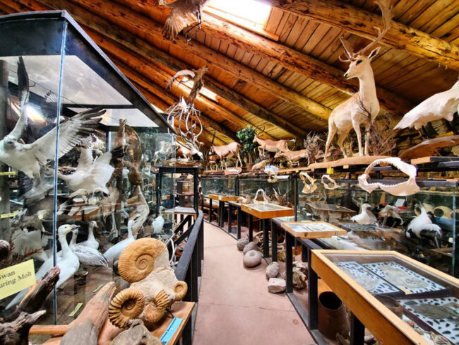 Things to Do in Idaho