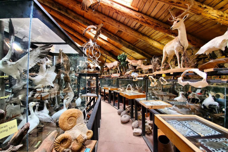 Things to Do in Idaho