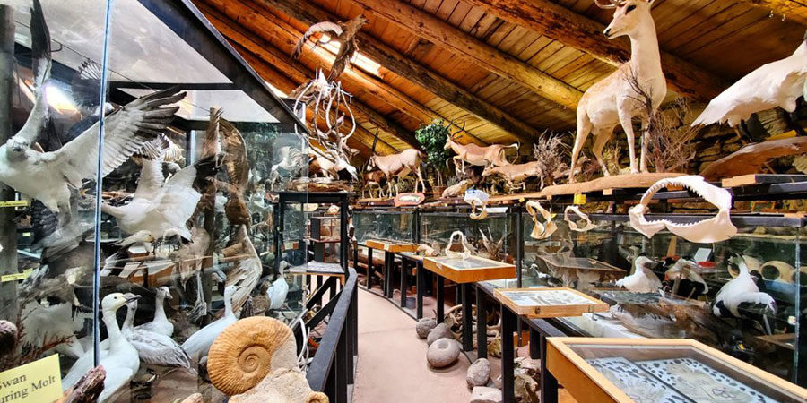 Things to Do in Idaho