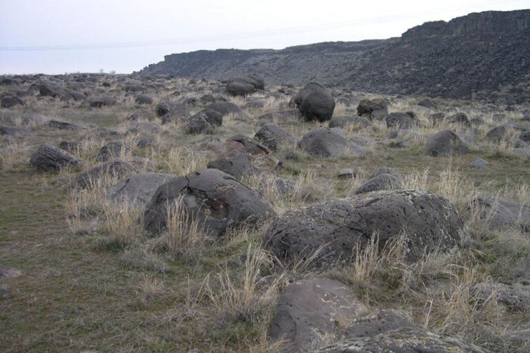 Things to Do in Idaho