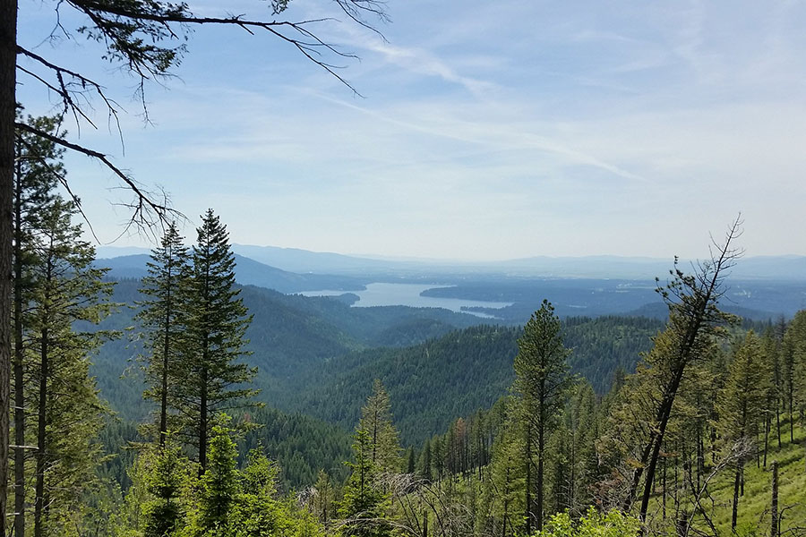 Lake Coeur d’Alene in northern Idaho with forested mountains and expansive lake views
