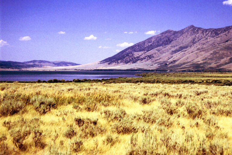 Unique things to do in Idaho