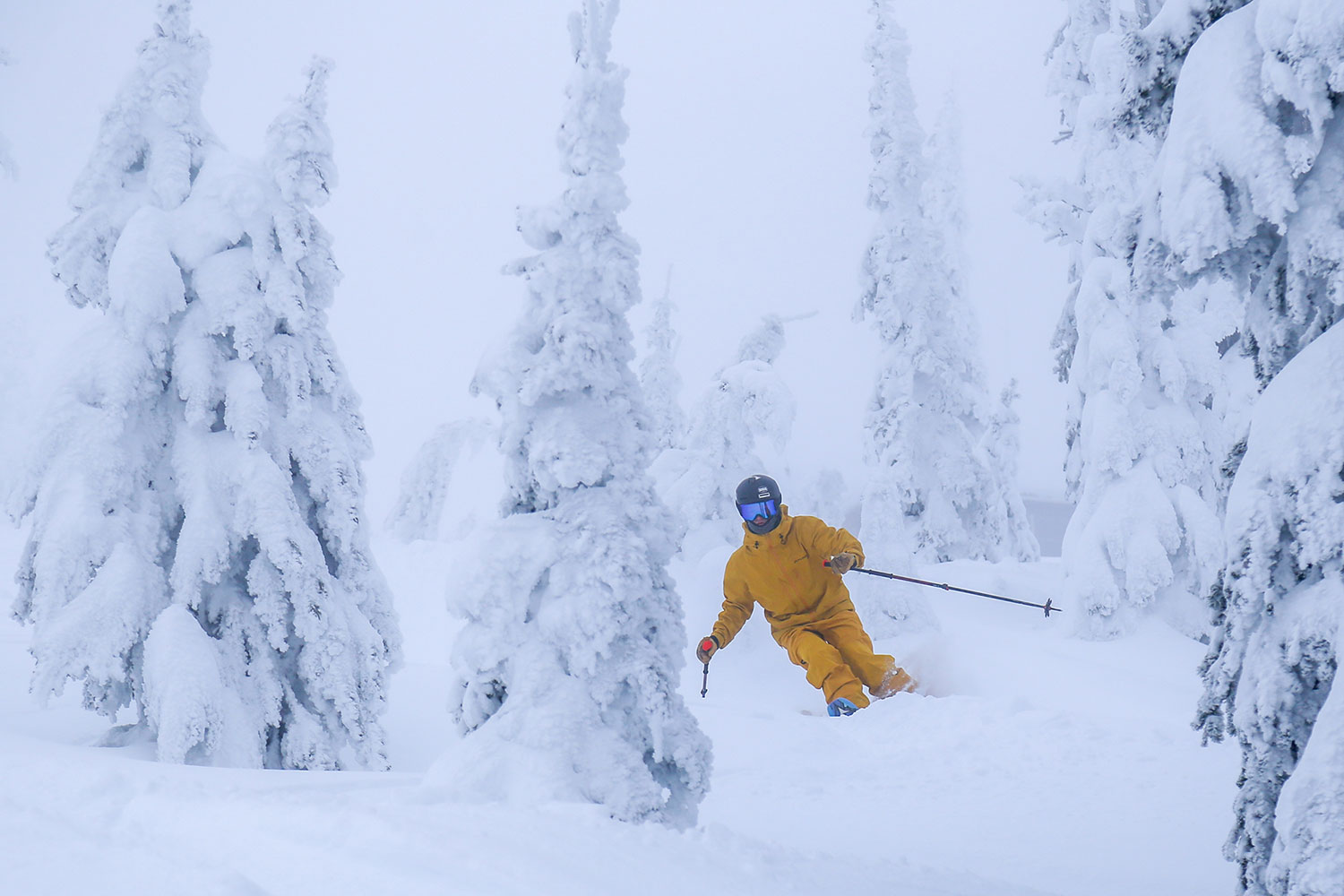 Skier at Brundage Mountain in Idaho skiing through deep powder snow and snow-covered trees