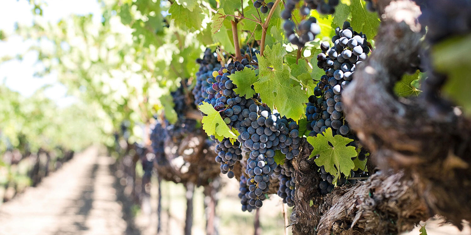 Things to Do in Idaho