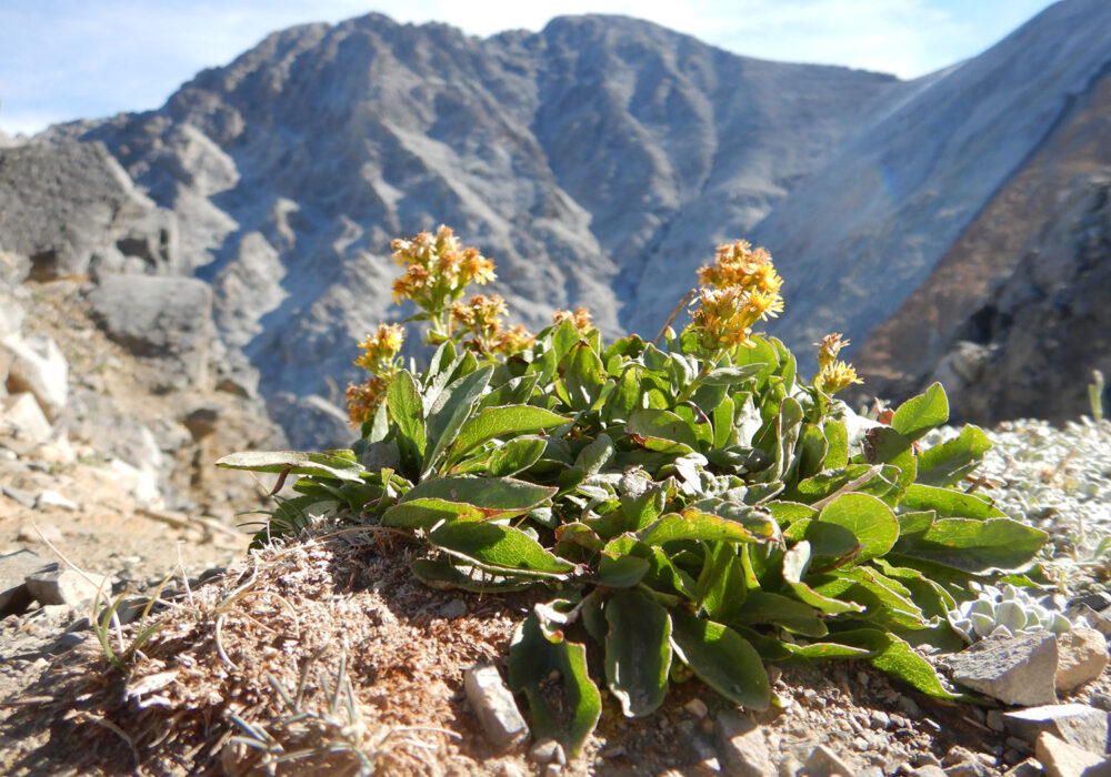 Beautiful Places to Visit in Idaho