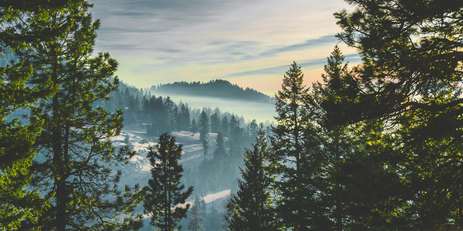 Scenic mountain landscape in southern Idaho with forested hills, morning light, and layered terrain