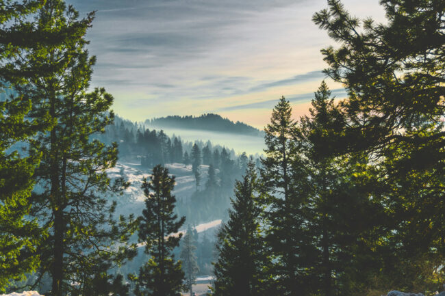 Scenic mountain landscape in southern Idaho with forested hills, morning light, and layered terrain