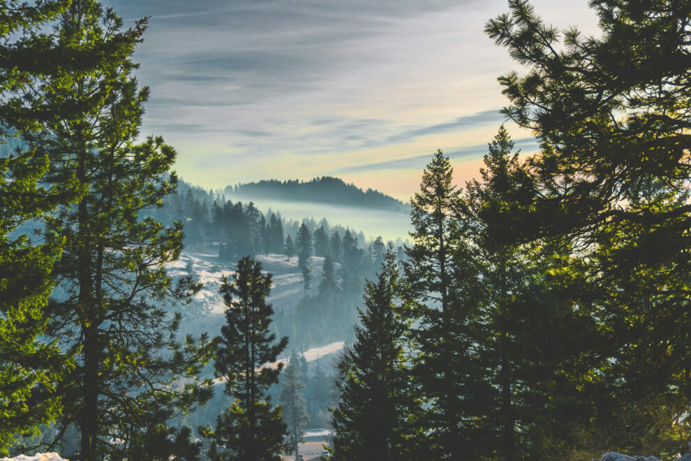 Scenic mountain landscape in southern Idaho with forested hills, morning light, and layered terrain