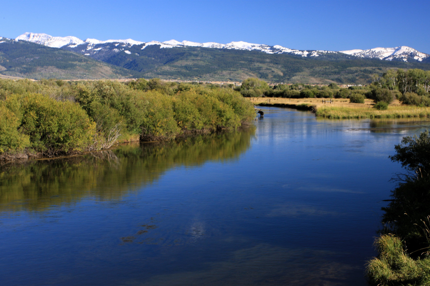 Moose Creek near Driggs Idaho with river flowing through valley and mountain views in the background