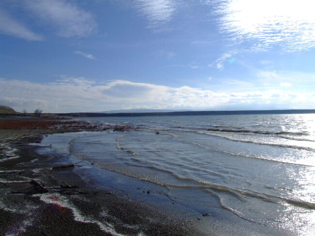 American Falls Reservoir in Idaho with shoreline, gentle waves, and wide open water landscape