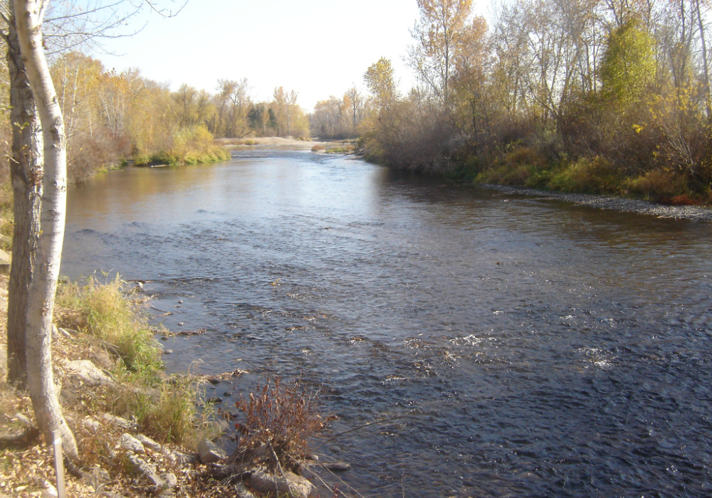 Boise River Greenbelt in Idaho with flowing river, tree-lined banks, and fall foliage