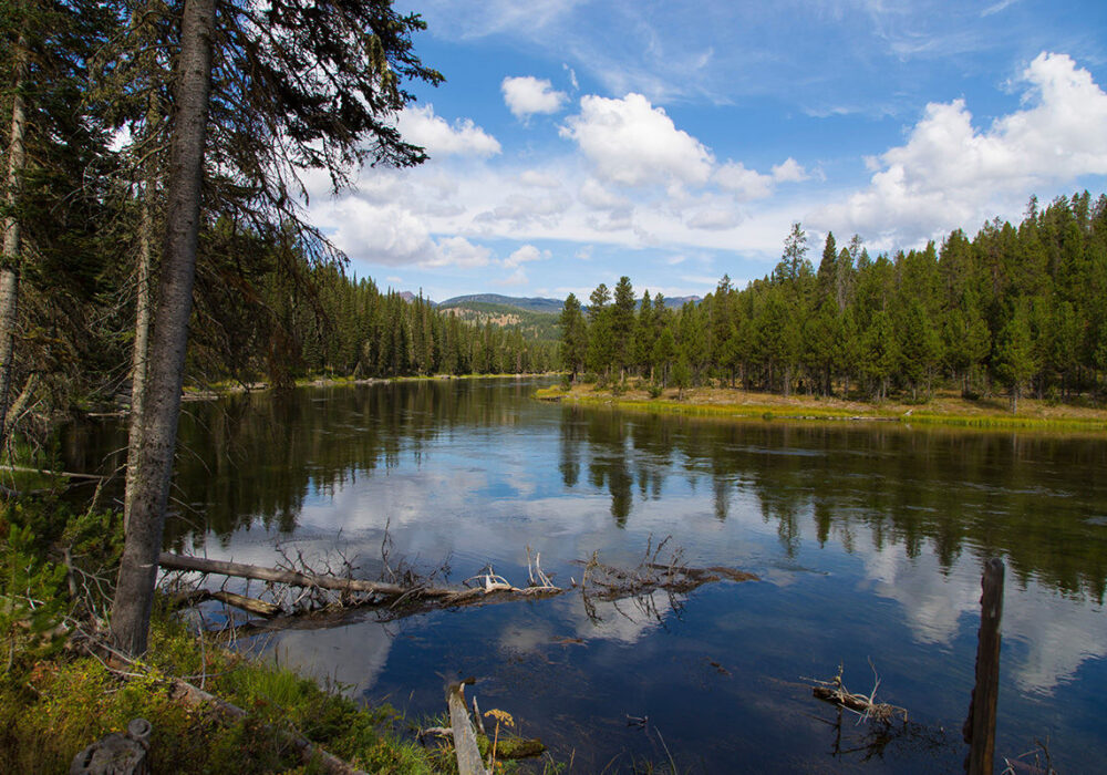 Calm stretch of the Henrys Fork of the Snake River flowing through forested landscape in Island Park, Idaho