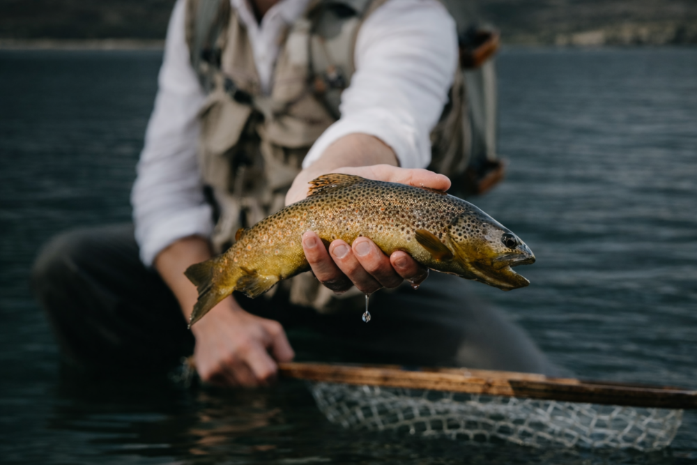 Person holding freshly caught trout over dark green reservoir water with fishing net in foreground