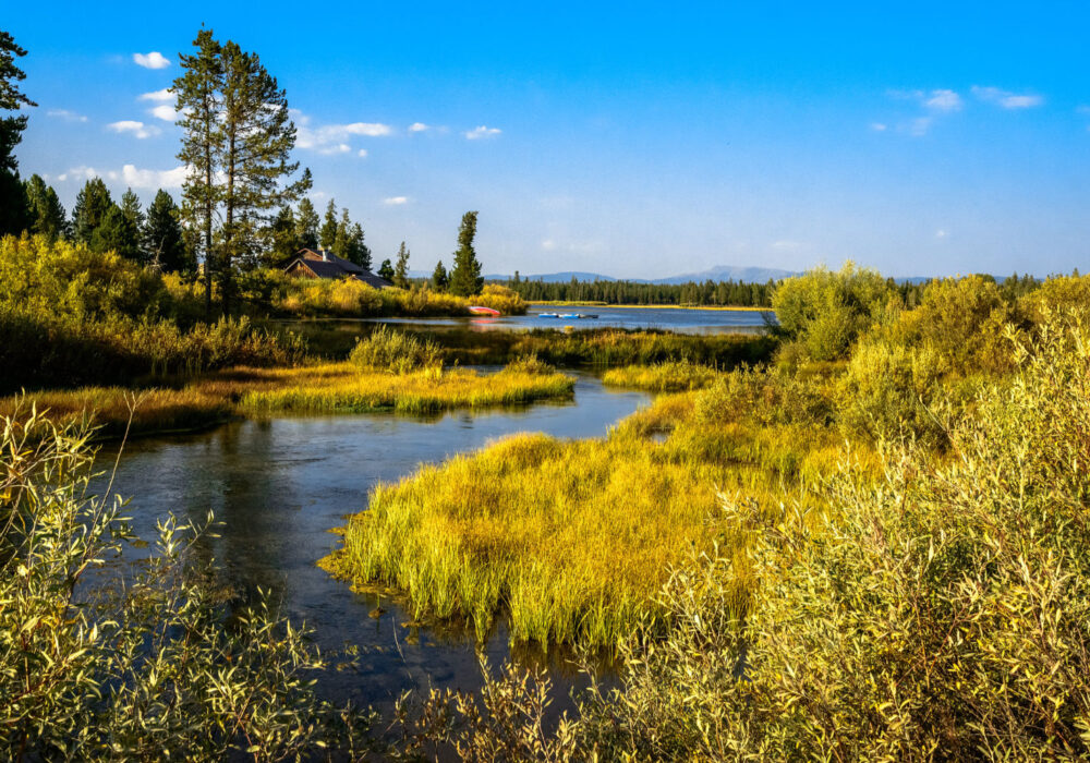Golden wetlands and calm river flowing through forested landscape in Island Park, Idaho with cabins and mountains in the distance